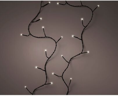 Decoris Led Lichtslinger Basic - Warm Wit - 240 Led