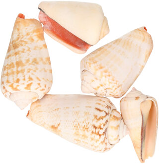 Decoris namaak schelpen - nep zee schelpen - zeeslak/strombus urseum - 4 cm