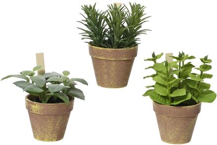 Decoris Plant in pot 15x15x17cm groen