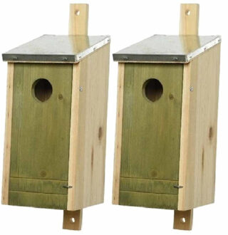 Decoris Set van 2 houten vogelhuisjes/nestkastjes lichtgroen 26 cm