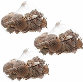 Decoris Set van 3 zakjes decoratie/hobby bruine schelpen 350 gram