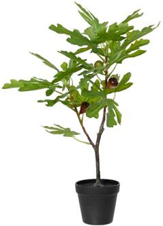 Decoris Vijgenboom in pot 40x35xH60cm groen