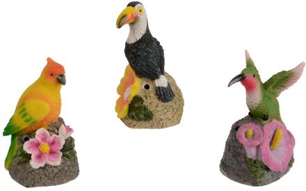 Decoris Vogel op rots sensor polyresin 7x6x11cm verschillende