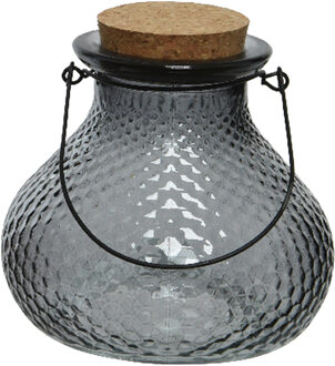 Decoris Wespenvanger/wespenval met hengsel - glas - grijs - D14 x H13 cm