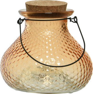 Decoris Wespenvanger/wespenval met hengsel - glas - perzik oranje - D14 x H13 cm