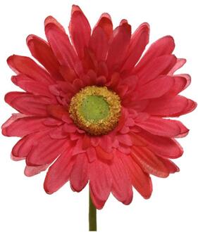 Decoris zijden gerbera op steel Fuchsia 50cm roze