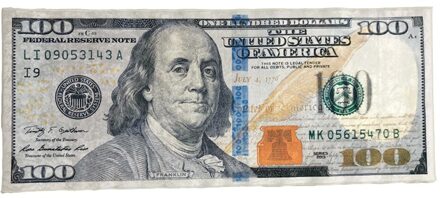 Decovilla Dollars Tapijt Wasbare Antibacteriële Antislip Bodem 55x134cm