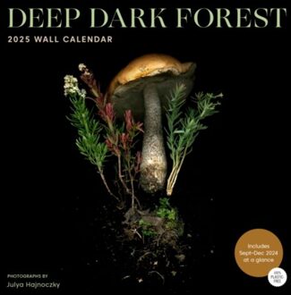 Deep Dark Forest 2025 Wall Calendar - Hajnoczky, Julya