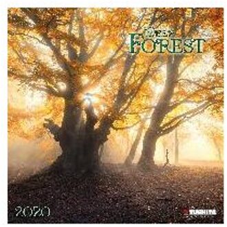 Deep Forest Kalender 2020