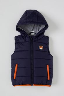 Defacto Lente Babyboy Buitenste Dragen Baby Boy Hooded Opblaasbare Vest Kids Kinderen -T3443A221SP 9 12 MONTHS