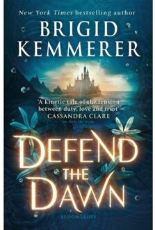 Defend The Dawn - Defy The Night - Brigid Kemmerer