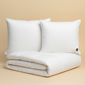 Dekbed Discounter Dekbed 4 Seizoenen & 2 Hoofdkussens 85% Eendenveren Bundel - Beddengoed Bundel & 4 Seizoenen - 140x200 Cm (Eenpersoons) - Dekbed Discounter - Dekbed-Discounter.nl