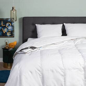 Dekbed Dons 100% Eendendons 4 Seizoenen - 4 Seizoenen & Zomer & Winter & Perfect Voor Koude Nachten - 200x220 Cm (Tweepersoons) - Presence - Dekbed-Discounter.nl