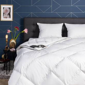Dekbed Dons 100% Ganzendons 4 Seizoenen - 4 Seizoenen & Zomer & Winter & Perfect Voor Koude Nachten - 200x220 Cm (Tweepersoons) - Presence 310 - Dekbed-Discounter.nl