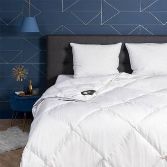 Dekbed Dons 65% Ganzendons 4 Seizoenen - 4 Seizoenen & Zomer & Winter & Perfect Voor Koude Nachten - 200x220 Cm (Tweepersoons) - Presence 370 Gr - Dekbed-Discounter.nl