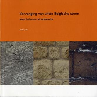 Delft Digital Press Vervanging van witte Belgische steen - Boek W.J. Quist (9053353712)