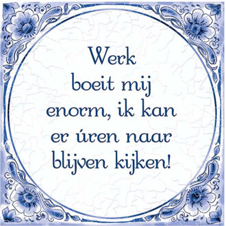 Delfts Blauw Tegel Werk Boeit 14,5cm