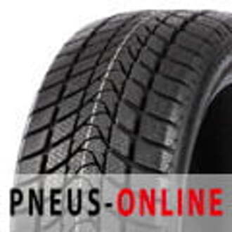 delinte Winter WD1 165/70R14 81T