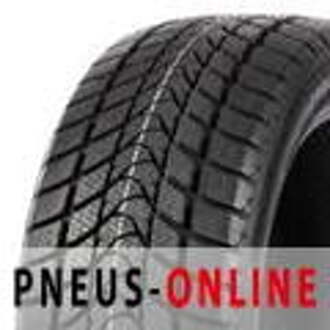 delinte Winter WD1 175/65R14 82T