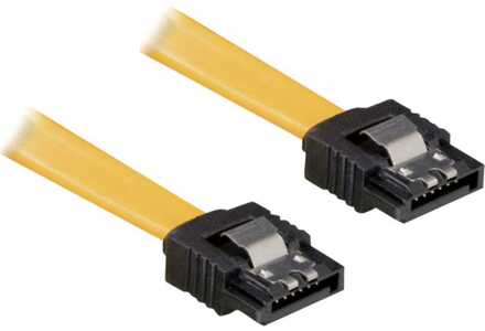 Delock 0.3m SATA Cable SATA-kabel 0,3 m Geel
