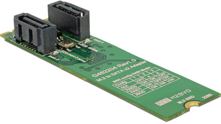 Delock 62961 interfacekaart/-adapter SATA Intern