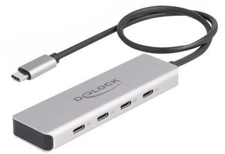 Delock 64231 USB-hub