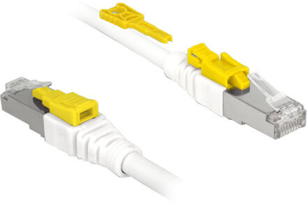 Delock CAT 6a kabel met vergrendelbare pluggen, 0,5 meter
