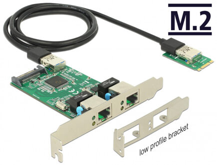 Delock Converter M.2 Key B+M male > 2 x Gigabit LAN