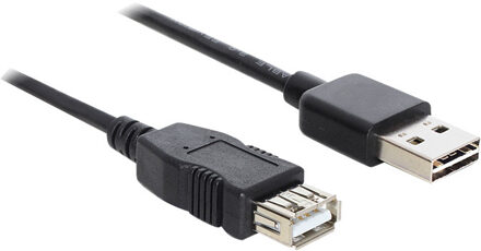 Delock EASY-USB 2.0-A - USB 2.0-A, 1m