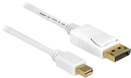 Delock Mini DisplayPort - DisplayPort kabel - versie 1.2 (4K 60 Hz) / wit - 1 meter