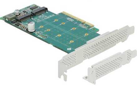 Delock PCI Express x8 Card naar 2x internal NVMe M.2 Key M - Bifurcation Controller
