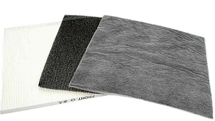 Delonghi HEPAfilter/Koolstoffilter/Stoffilter voor DAP700E Luchtreiniger