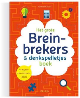 Deltas Breinbrekers en denkspelletjes boek