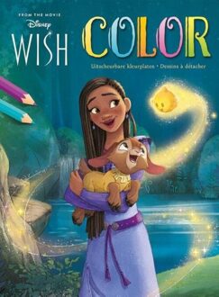 Deltas Disney Color Wish kleurblok