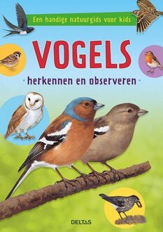 Deltas Vogels herkennen en observeren