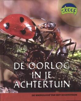 Delubas Educatieve Uitgeverij De oorlog in je achtertuin - Boek Richard Spilsbury (9054832401)