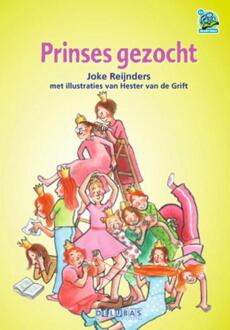 Delubas Educatieve Uitgeverij Prinses gezocht - Boek Joke Reijnders (9053003134)