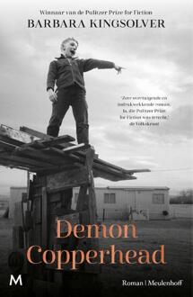 Demon Copperhead -  Barbara Kingsolver (ISBN: 9789029098656)