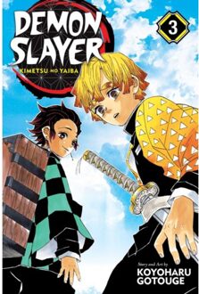 Demon Slayer: Kimetsu no Yaiba, Vol. 3