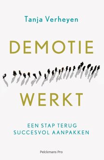 Demotie werkt e-book