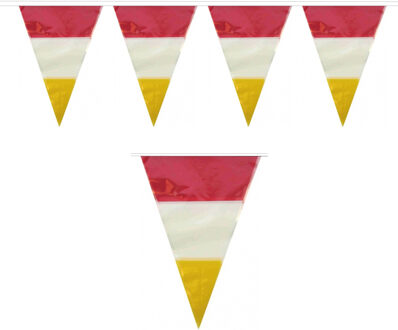 Den Bosch kleuren carnaval vlaggetjes - 10 meter - plastic - rood-wit-geel - versieringen