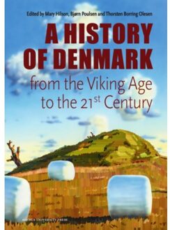 Denmark. A History From The Viking Age To The 21st Century