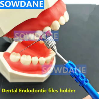 Dental Endodontic File Files Holder Handuse Files Gripper Root Canal K R H C Files Machine Rotary Files Holder For Dentist Tool