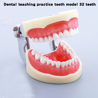 Dental Lab Teeth Model Dental 32 RemovableTeeth Model Dental Teeth Typodont Model For Dental Oral Teaching Resin Reeth