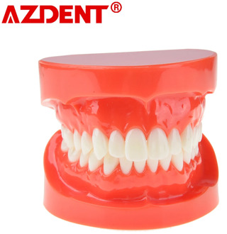 Dental Prosthesis Teeth Model Jaw Standard Typodont Demonstration Denture Teaching Model Dentist Simulator Technician Tools