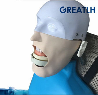 Dental Simulation Teeth model Dentistry manikins Phantom Head Sennior with Torso for Dental teaching model