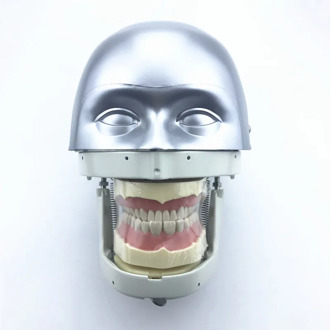 Dental Simulator Manikin Phantom Head demonstrations practical exercises Teeth model teaching equipment