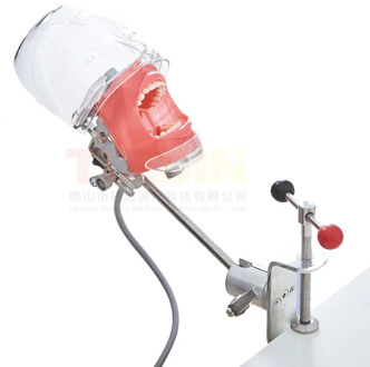 Dental Simulator Manikin Phantom With New Style Bench Mount Dental Tooth Models For Dentist Teaching 360-degree adjustment