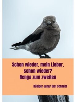 Der Zweite Teil - Olaf Schmidt