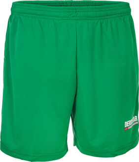 Derbystar Kleding Short Energy Groen - 116